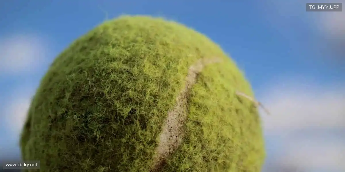 正品周边，球迷专属荣耀！🎁🏆